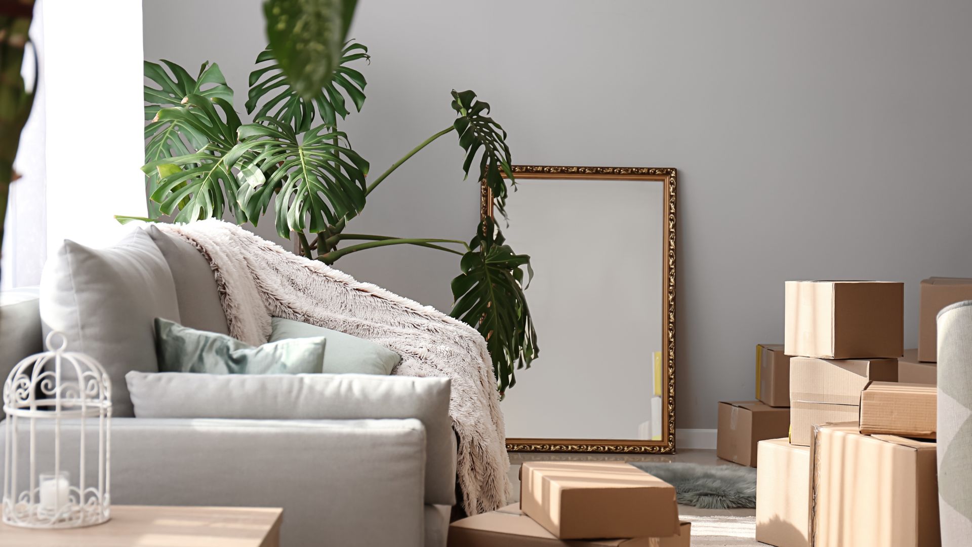 A living room filled with boxes and a couch