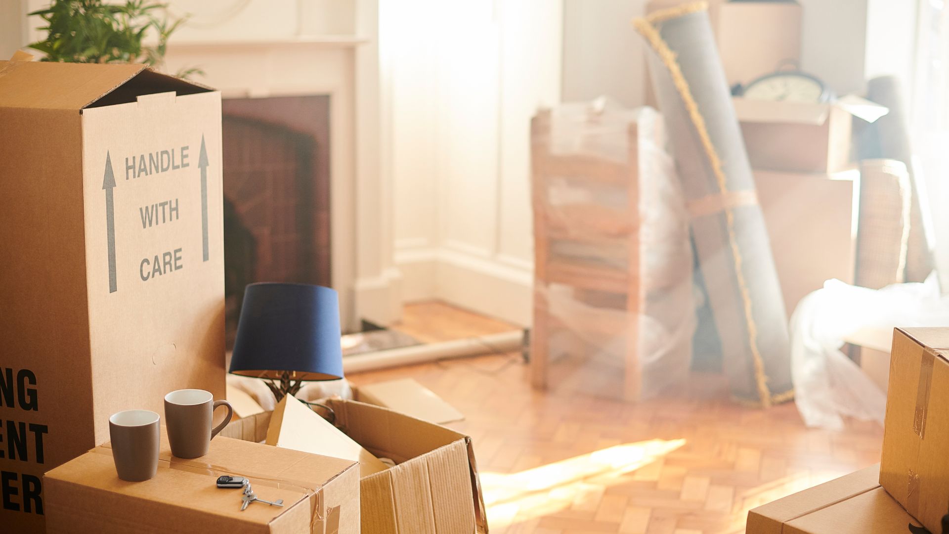 A living room filled with boxes and a lamp