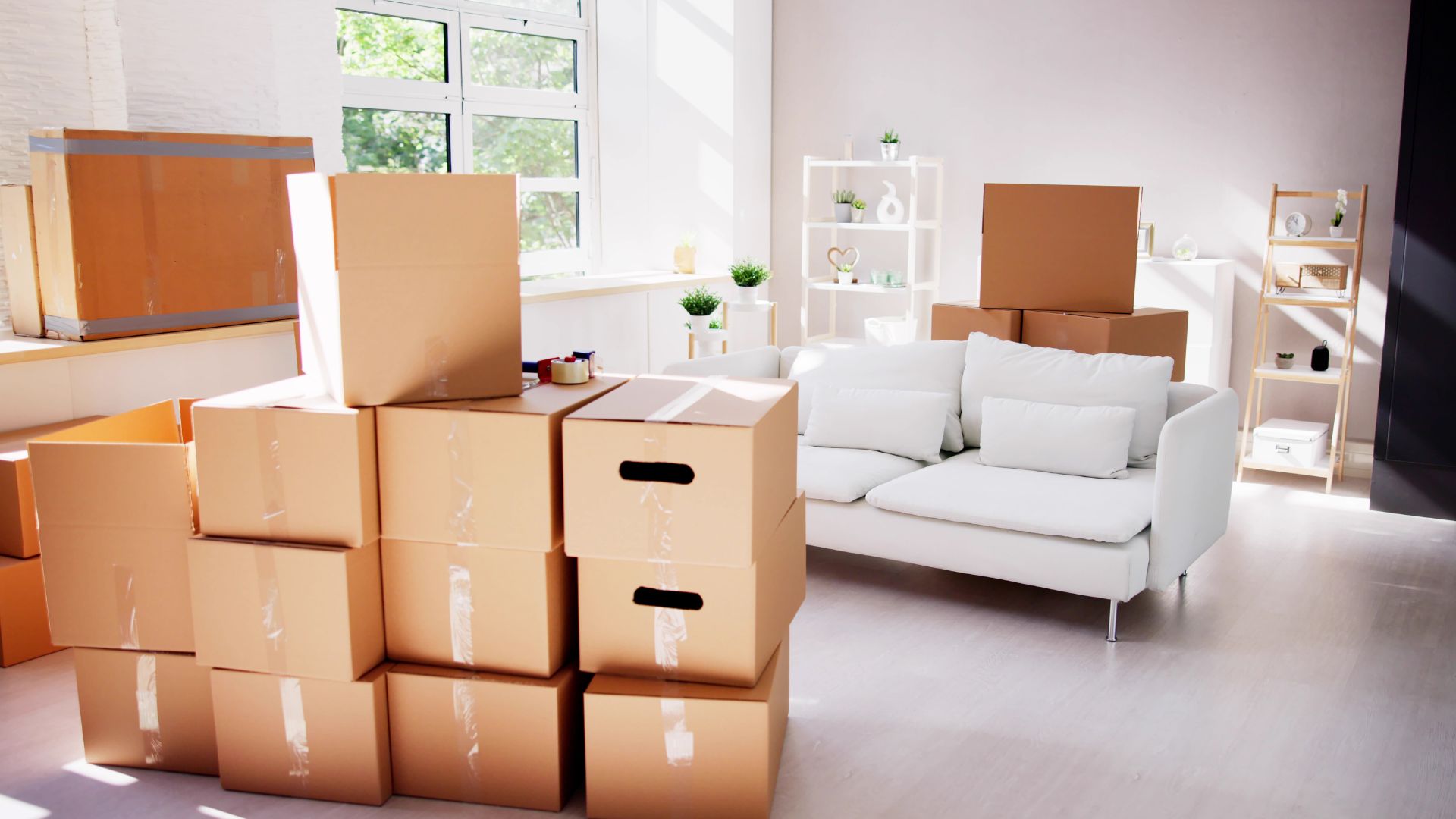 A living room filled with lots of boxes